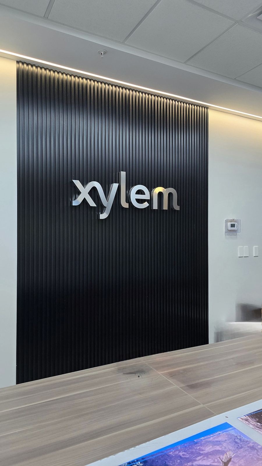 Ofinas Xylem